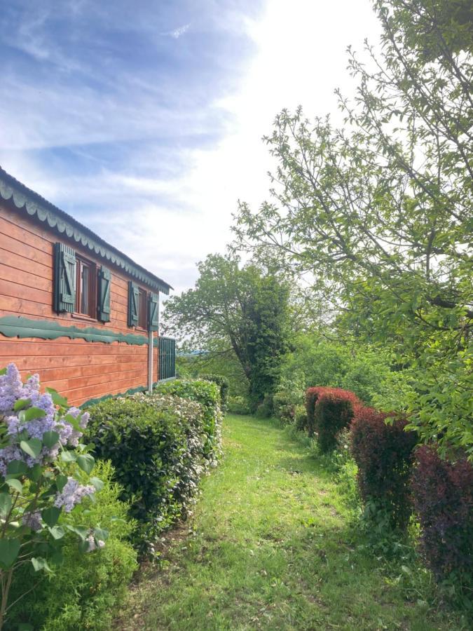 Вилла Domaine La Carriere Toulon-sur-Allier Экстерьер фото